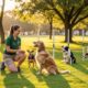 A female dog trainer kneels on grass in a sunny park while several dogs of different breeda sit and wait attentively around her