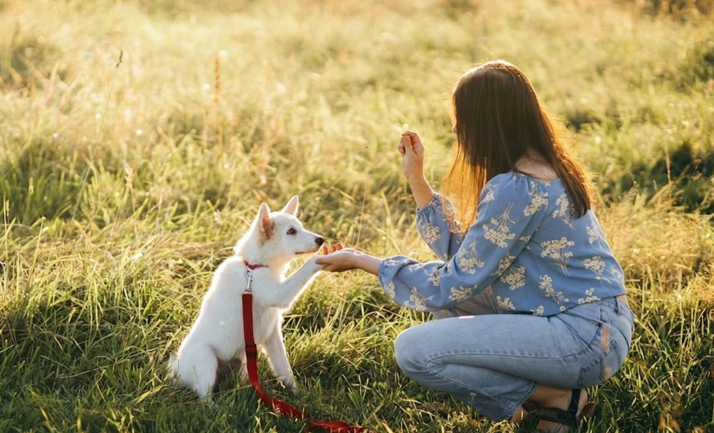 a girl is dog obedience training out side.