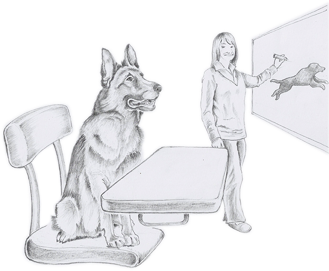 Build Your Dog Up with Clear Communication during training session