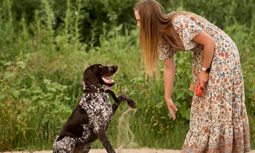 A young woman in a long floral boho dress interacts with a German Shorthaired Pointer on a sandy beach, capturing a moment that reflects Why Your Dog Is Not Learning Commands and how to improve your training bond.