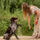 A young woman in a long floral boho dress interacts with a German Shorthaired Pointer on a sandy beach, capturing a moment that reflects Why Your Dog Is Not Learning Commands and how to improve your training bond.