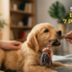 A golden retriever puppy biting a colorful braided rope toy on a grey blanket, while a person's hands gently hold the toy and pet the puppy. Bold text in the upper right reads "STOP PUPPY BITING FAST: 7 PROVEN TIPS".
