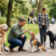 A diverse group of people of various ages interacting with their dogs in a sunny park. A senior woman pets a Golden Retriever on a bench, a man kneels to offer a treat to a Beagle, a young girl walks a Black Labrador, and a man and a young boy walk a small Terrier on a leash."