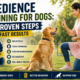 Obedience training for dogs showing a woman using hand commands and positive reinforcement to train a Golden Retriever in an outdoor park.