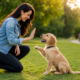 Puppy commands for off-leash safety with a woman training a golden puppy in a park
