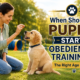 When should a puppy start obedience training? A woman teaching basic obedience commands to a young Golden Retriever puppy in a garden.